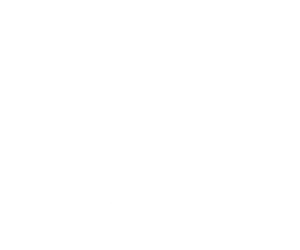 Academic HealthPlans, Inc. (AHP), a Risk Strategies Company