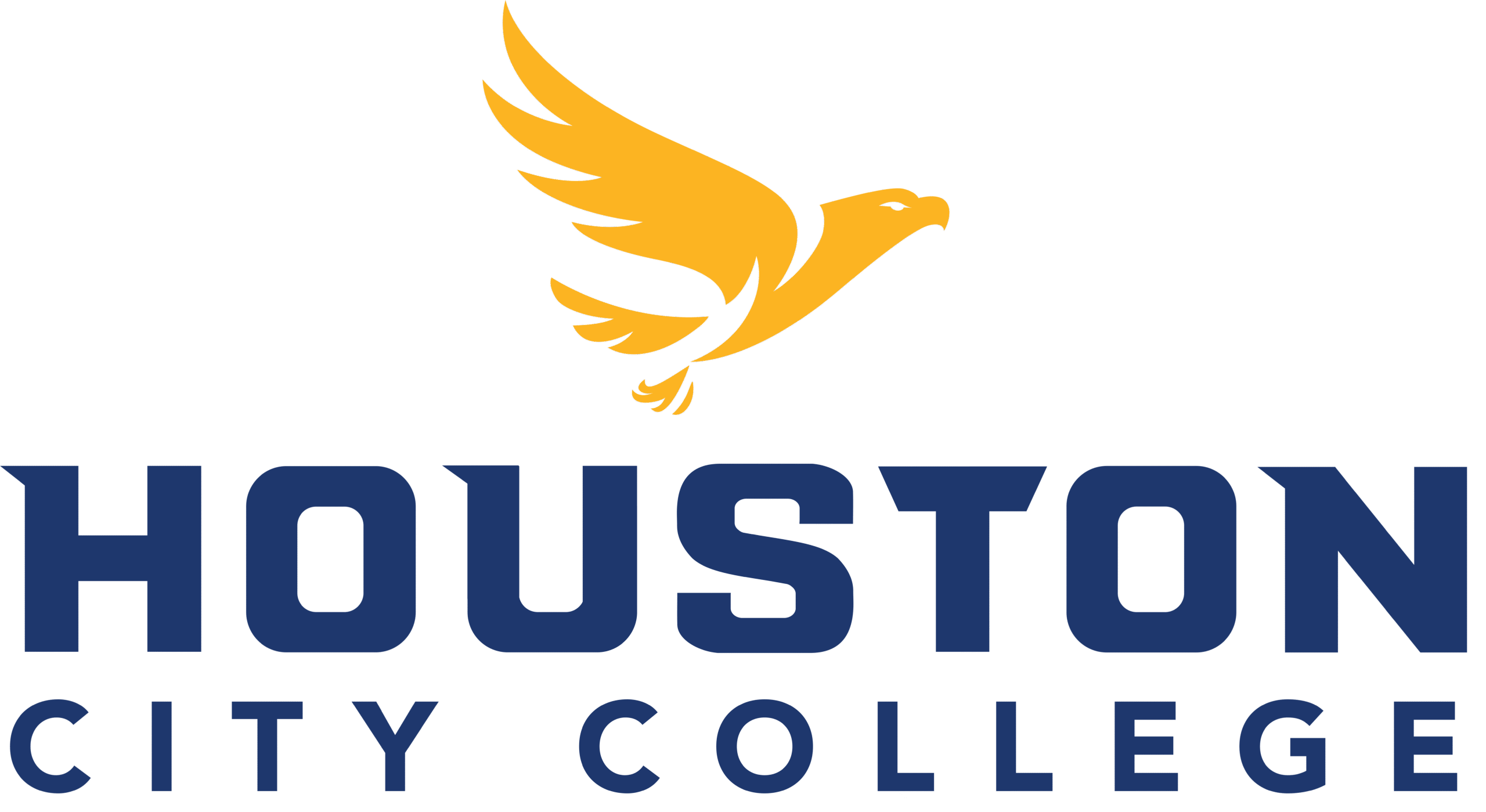 Houston City College